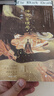 2025年新版大中華尋寶記系列1-32冊正版全套36小學(xué)生科普漫畫(huà)書(shū)籍中國吉林寧夏尋寶記山西內蒙古黑龍江上海北京四川河浙江云南新疆 31.吉林尋寶記 曬單實(shí)拍圖