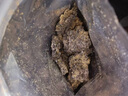 三關六碼頭筍絲豆干手撕烤豆腐干夾筍豆脯 肉豆干獨立小包裝辦公室小零食 【店長推薦】夾肉*1+夾筍*1 曬單實拍圖