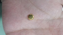 翡寶翠黃金豆AU9999足金實(shí)心真金豆子收藏投資節日禮物送女友節日小金豆 實(shí)心小金豆1g【不帶證書(shū)】 曬單實(shí)拍圖