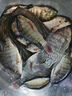 小鳳仙魚(yú)線(xiàn)魚(yú)鉤魚(yú)漂套裝新手5件全套高靈敏子線(xiàn)雙鉤主線(xiàn)野釣魚(yú)鉤線(xiàn)浮漂4.5M桿長(cháng)套裝 野釣鯽鯉綜合魚(yú)2線(xiàn)組+1漂+10付魚(yú)鉤+1收納盒 曬單實(shí)拍圖