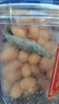梵晟一品A170特大顆粒越南鹽焗紫皮腰果仁孕婦堅(jiān)果零食年貨堅(jiān)果批發(fā)炒貨 【炭燒腰果】 150g*1罐 曬單實(shí)拍圖