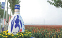 汾酒 青花20升級(jí)版 清香型白酒 53度500mL 單瓶（新版新包裝） 曬單實(shí)拍圖