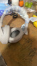 索尼（SONY）WH-1000XM4 無(wú)線智能降噪 頭戴耳機(jī) 藍(lán)牙5.0（1000XM3升級(jí)款）鉑金銀 七夕禮物 曬單實(shí)拍圖