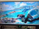 ANTGAMER螞蟻電競(jìng) 24.5英寸2K300Hz顯示器 氧化物FastIPS 10Bit HDR400 1msGTG DIC技術(shù)護(hù)眼低藍(lán)光ANT253PQ 曬單實(shí)拍圖