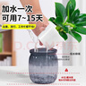 綠有意綠植盆栽桌面水培綠植辦公室植物懶人好養(yǎng)盆景水養(yǎng)植物 【熱套餐】梔子花+發(fā)財樹+綠公主 含盆 曬單實拍圖