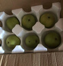 京覓碭山青梨 凈重3斤 4-6個 單果250g+ 青皮皇冠梨水果 源頭直發(fā)包郵 曬單實拍圖