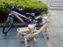 飛鴿山地自行車(chē)女士變速青少年賽車(chē)越野減震學(xué)生車(chē)山地公路車(chē)女學(xué)生車(chē) 超輕鋁輻條輪-漸變紫 26寸【適合155-175cm】 24速【63%小仙女的選擇】 曬單實(shí)拍圖