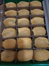 佳沛（zespri）新西蘭  陽(yáng)光金果18粒優(yōu)選果單果約101-124g 獼猴桃 中秋水果禮盒 曬單實(shí)拍圖