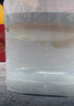 十年漁場直發(fā)古典過背金龍魚苗熱帶觀賞魚便宜紅龍魚或銀龍魚苗 一條魚苗 曬單實拍圖
