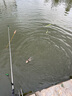 佳釣?zāi)狒~(yú)護(hù)速干魚(yú)護(hù)網(wǎng)黑坑加厚涂膠魚(yú)護(hù)包魚(yú)網(wǎng)兜袋漁護(hù)漁網(wǎng)兜 曬單實(shí)拍圖