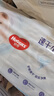 好奇（Huggies）金裝拉拉褲XL96片(12-17kg)尿不濕【速干不易紅】 曬單實(shí)拍圖