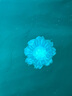 索邦洗臉巾拖把16cm 平板拖地懶人神器家用一拖凈免手洗迷你夾布拖把 曬單實(shí)拍圖