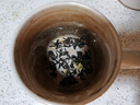 尋西湖茶葉茉莉花茶2025新茶特級(jí)茉莉飄雪七窨一提濃香型嫩芽罐裝100g 曬單實(shí)拍圖