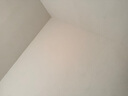 得力48粒/筒彩色白板磁釘 冰箱貼磁鐵黑板吸鐵石/磁鐵φ30mm 白板配件 配合白板筆白板擦使用8725 曬單實(shí)拍圖