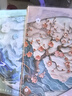 法拉蒙（faramon）4本裝B5/64張膠套本加厚筆記本本子國風(fēng)高顏值學(xué)生錯題本課堂記事本考研軟面抄日記本  曬單實(shí)拍圖