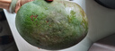 三亞芒果  海南芒果新鮮水果生鮮整箱當(dāng)季大青皮芒 熱帶孕婦芒果 5斤裝(凈果4.5斤)單果201克+ 曬單實(shí)拍圖