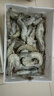 海之幫新鮮青島大蝦超大蝦凍蝦白蝦鮮活冷凍對(duì)蝦大號(hào)青蝦海鮮批發(fā) 15-17厘米鮮活速凍 3斤(凈重) 曬單實(shí)拍圖