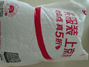 噴壺澆花澆水噴霧器氣壓式噴水壺家用園藝養花500ml 南瓜噴壺透藍【1個(gè)裝】 曬單實(shí)拍圖