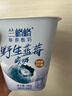 蘭格格  草原酸奶 烏日莫奶皮子酸奶560g*1桶 生鮮低溫酸牛奶 酸奶大桶 曬單實(shí)拍圖