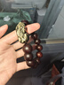 石玥珠寶泥料印度小葉紫檀木手串盤玩佛念珠黑曜石貔貅手鏈男女士款 15mm 曬單實拍圖