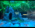 異景園魚(yú)缸仿真假山造景裝飾石頭布景套餐水族箱大小樹(shù)脂擺件躲避洞松石 TJ20-筆架山 曬單實(shí)拍圖