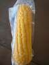十月稻田 黃糯玉米 3.52斤(220g*8根) 25年新玉米 低脂 早餐零食 東北玉米 曬單實(shí)拍圖