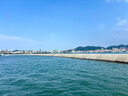 【原研進(jìn)口】倍擇瑞 布地格福吸入氣霧劑 120撳/盒 曬單實(shí)拍圖