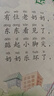 亮麗精美觸摸書(shū)—小熊波比 0-2歲幼兒?jiǎn)⒚煞抡嬗|摸書(shū) 樂(lè )樂(lè )趣童書(shū)低幼認知繪本  課外書(shū) 曬單實(shí)拍圖