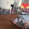 鉆石牌工業(yè)風(fēng)扇落地扇家用立式電風(fēng)扇大風(fēng)力搖頭強力電扇客廳商用工廠車間鋁葉商業(yè)風(fēng)扇HF1802 曬單實拍圖