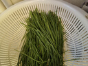 【順豐發(fā)貨】新鮮民勤特產(chǎn)沙蔥香蔥小蔥辛香脆爽美味可口現(xiàn)摘現(xiàn)發(fā) 3斤 曬單實拍圖