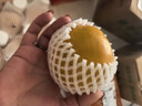 龍多鮮陽(yáng)豐柿子新鮮水果柿子巧克力脆柿當季冰糖心黃甜脆柿子 整5斤 約15-22個(gè)左右 凈4.5斤 曬單實(shí)拍圖