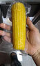 天勤粒粒凈有機黃糯玉米8穗*260g（4.1斤）玉米棒低脂玉米真空包裝早餐代餐 曬單實拍圖