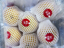 京鮮生 長(cháng)城羊脂秋月梨 正宗大果 凈重5斤 單果300g+ 生鮮水果禮盒 曬單實(shí)拍圖
