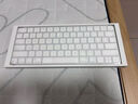 Apple/蘋果 妙控鍵盤-中文 (拼音) USB-C端口 蘋果鍵盤藍(lán)牙鍵盤無線鍵盤辦公鍵盤 MXCL3CH/A 曬單實拍圖