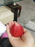 優(yōu)味集紅寶石蓮霧【JD順豐速發(fā)】海南當季大仙女果風(fēng)鈴鐺霧連孕婦水果 500g精品果(單果70g+) 曬單實(shí)拍圖
