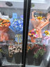 卡帝仕 花店商用鮮花保鮮柜大容量風(fēng)冷鮮花保鮮冰箱鮮花冰柜鮮花冷藏保鮮柜鮮花冷柜展示柜鮮花柜保鮮柜 升級款黑色三門(mén)（無(wú)需排水） 曬單實(shí)拍圖