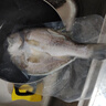 鴻順?三去海鱸魚(yú)3斤3條 去鱗去腮去內臟 國產(chǎn) 生鮮魚(yú)類(lèi) 源頭直發(fā) 曬單實(shí)拍圖