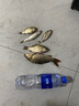 神鯊湖庫王5.4米魚竿超輕超硬碳素釣魚竿手竿臺(tái)釣竿鯉魚桿鯽魚竿漁具 曬單實(shí)拍圖