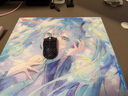 沃哈克WALLHACK SP004/SP004A Skypad4.0鋼化玻璃鼠標墊電競游戲專(zhuān)用高端鼠標墊FPS吃雞硬墊APEX SP-004-夏日初音未來(lái)（49*43cm） 曬單實(shí)拍圖