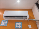 TCL京東聯(lián)名大1.5匹新一級能效真省電SE掛機空調冷暖變頻KFR-35GW/JD21+B1國家補貼以舊換新 曬單實(shí)拍圖