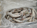 蝦有蝦途青島大蝦無冰新鮮海蝦白蝦鮮活冷凍大蝦批發(fā)3.6斤凈重 青島大蝦 3.6斤(凈重)  只只分離 18-20cm【超大蝦皇】無冰 曬單實拍圖