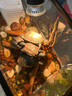 闊庭（KUOTING）烏龜缸生態(tài)缸寵物飼養(yǎng)箱透明爬寵專用水陸兩用過濾款黑色【大號(hào)】 曬單實(shí)拍圖