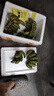 三萌果蔬廣西小米蕉【青蕉發(fā)貨收到需催熟】芭蕉新鮮水果香甜粉糯現(xiàn)摘現(xiàn)發(fā) 凈4.5-5斤精選【香甜軟糯】 曬單實拍圖