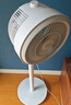美的（Midea）【暴風(fēng)循環(huán)】空氣循環(huán)扇大風(fēng)量搖頭電風(fēng)扇家用臺(tái)式落地扇輕音臥室節(jié)能小風(fēng)扇柔風(fēng)輕羽扇 FGA24TQ 曬單實(shí)拍圖