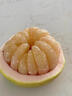 桃西村臺州玉環(huán)文旦柚 浙江楚門(mén)特產(chǎn)白心白肉蜜柚子新鮮水果中秋送禮 約15斤 精選特大果【4-5枚裝】 曬單實(shí)拍圖
