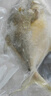 賣(mài)魚(yú)七郎 國產(chǎn)冷凍金鯧魚(yú) 3條裝 凈重2.7斤 海魚(yú)特大 生鮮魚(yú)類(lèi)海鮮水產(chǎn) 曬單實(shí)拍圖