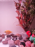 畫(huà)法幾何 智能魚(yú)缸接入米家生態(tài) 智能魚(yú)缸+專(zhuān)用增氧泵套裝 曬單實(shí)拍圖