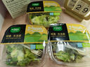 一號(hào)農(nóng)場(chǎng)活力蔬菜沙拉碗6種蔬菜開(kāi)盒即食輕食健身代餐160g*3碗源頭直發(fā) 曬單實(shí)拍圖