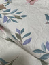 名創(chuàng)優(yōu)品（MINISO）100%純棉床單單件全棉被單230x250cm 宿舍家用雙人1.5-1.8米床 曬單實(shí)拍圖