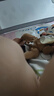世喜嬰兒鴨嘴杯學飲杯6個月以上寶寶喝水奶瓶PPSU幼兒園吸管水杯 曬單實拍圖